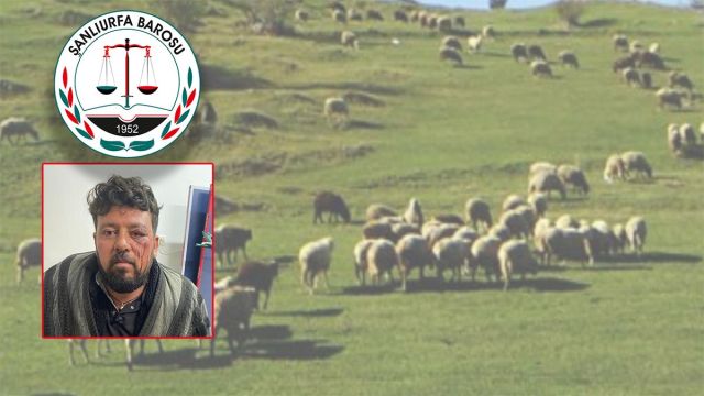 Viranşehir’de mera alanına GES'e karşı çıkan köylülerin darp edildiği iddia edildi