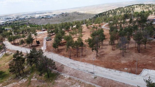 Şanlıurfa’da yeşil alanlar artırılıyor